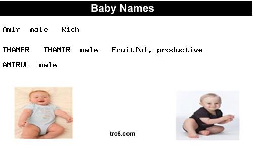 amir baby names